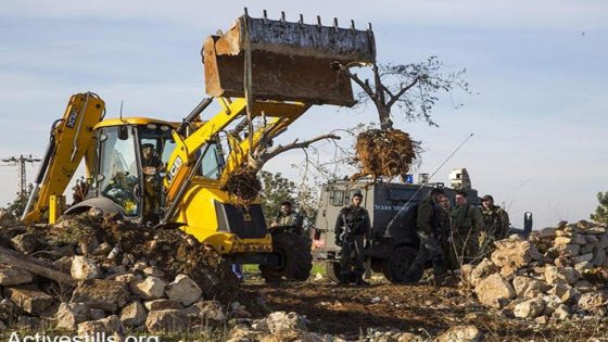 الاحتلال يعتقل مواطنا بمسافر يطا ومستوطنون يهاجمون المزارعين ورعاه الماشية