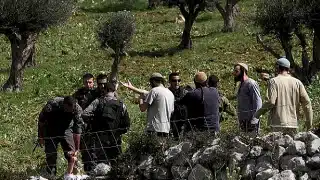شرق بيت لحم مستوطنون يهاجمون الأهالي ويستولون على أغنامهم