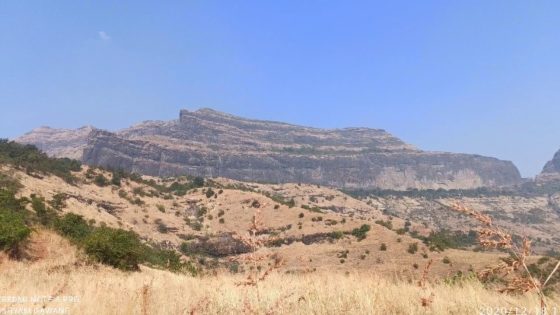 مستوطنون يقيمون موقعاً استيطانيا جديداً على جبل عيبال في نابلس