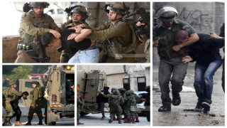 مستوطنون يسرقون 30 رأساً من الأغنام والاحتلال يعتقل 7 مواطنين: سلفيت