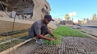 سلة غزة الغذائية تحتضر.. 40% فقط من الأراضي الزراعية صالحة للعمل