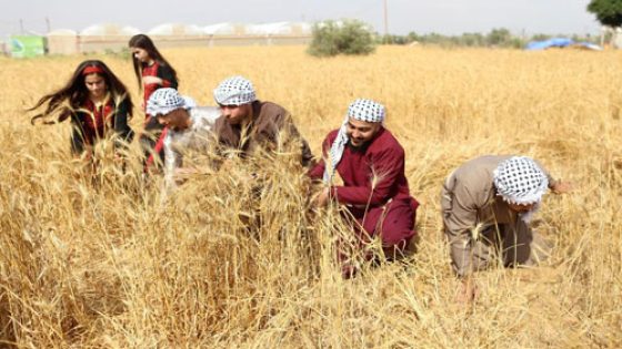 سليمية يدعو المؤسسات الدولية إلى تحمّل مسؤولياتها تجاه القطاع الزراعي الفلسطيني