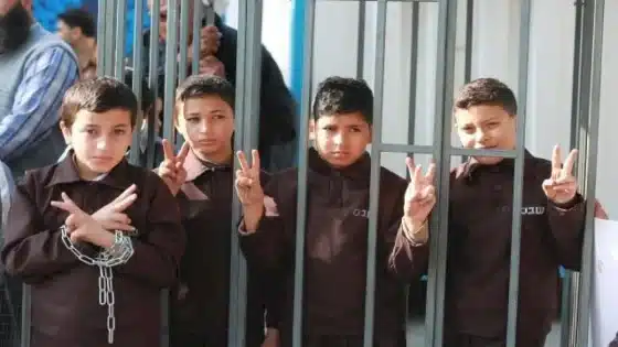في ظروف اعتقال قاسية .. 350 طالبا معتقلون في سجون الاحتلال