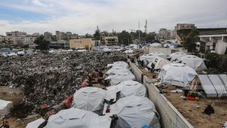 ناقوس خطر.. القوارض والأوبئة تهدد حياة مليون نازح في غزة