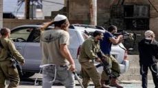 مستوطنون يعتدون بالضرب على مزارع جنوب الخليل