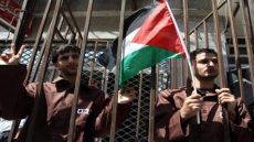 عاجل: الاحتلال يفرج عن 11 أسيراً من غزة عبر معبر كرم أبو سالم ونقلهم للفحص الطبي