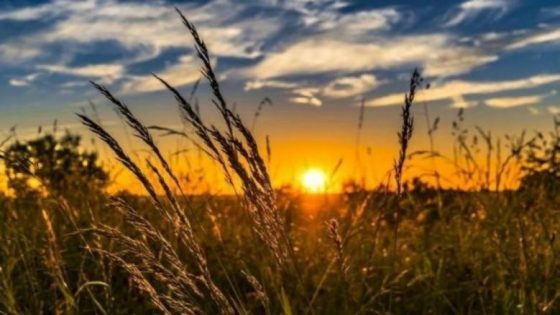 حالة الطقس: ارتفاع على درجات الحرارة في معظم المناطق