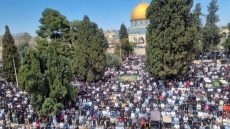 75 ألفا يؤدون صلاة الجمعة في المسجد الأقصى
