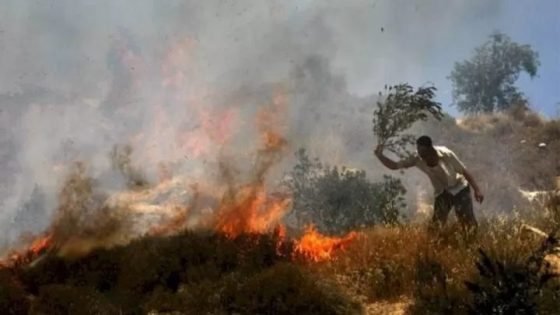 مستعمرون يحرقون أكياس “تبن” وشبكات مياه في الأغوار الشمالية ومحاصيل زراعية في المغير شمال شرق رام الله