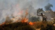 مستعمرون يحرقون حظيرة أغنام وفرن طابون ويصيبون صاحبها بحروق جنوب الخليل ويقتحمون مخيم قدورة بمدينة رام الله
