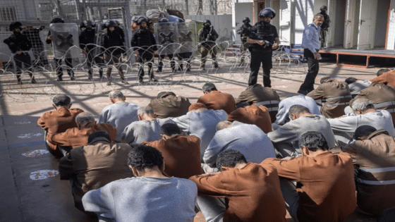 الخارجية الألمانية: يجب التحقيق في الانتهاكات الجنسية بحق أسرى فلسطينيين