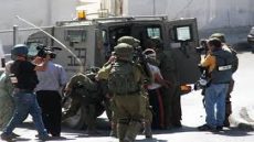 قوات الاحتلال تعتقل شقيقين من جورة الشمعة جنوب بيت لحم