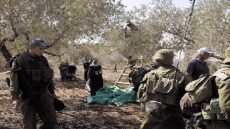 الاحتلال يمنع مزارعين من حصاد القمح في بيت فوريك شرق نابلس يعتقل شابا من نابلس