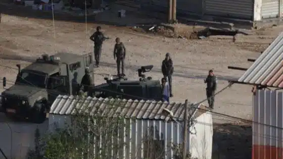 تورك: إسرائيل تصادر أراضي الفلسطينيين و تقتلهم