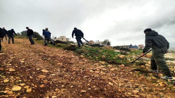 غرب سلفيت مستوطنون يعتدون على أرض زراعية