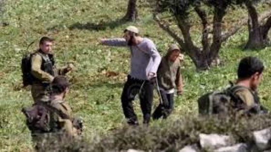 شرق رام الله مستعمرون يتلفون أشجار زيتون