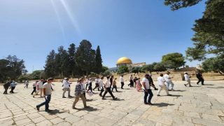 عشرات المستوطنين يقتحمون المسجد الأقصى ويؤدون طقوسًا تلمودية