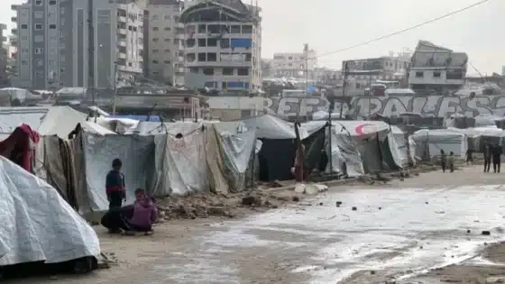 مستجدات ميدانية: استشهاد الشاب زكي محمد القرا بإطلاق نار شرقي خان يونس