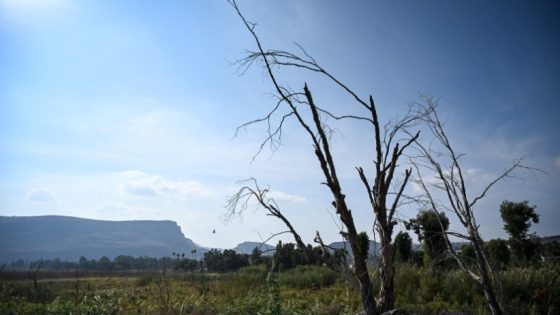 الأرصاد الجوية: أجواء حارة إلى شديدة الحرارة تسيطر على البلاد حتى منتصف الأسبوع مع استقرار حركة الرياح والبحر