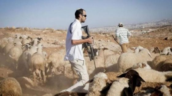 4 اعتداءات استيطانية تستهدف المواطنين وممتلكاتهم في مسافر يطا جنوب الخليل