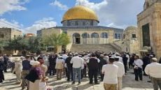 مستعمرون يقتحمون المسجد الأقصى في طوباس ويهاجمون مزارعين في تياسير