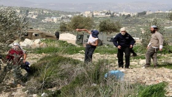 هيئة مقاومة الجدار: 11074 اعتداءً للاحتلال ومستوطنيه وتأسيس 34 مستعمرة جديدة بالنصف الأول من عام 2026